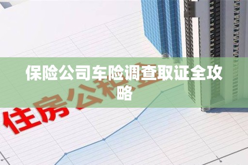 延平保险公司车险调查取证全攻略